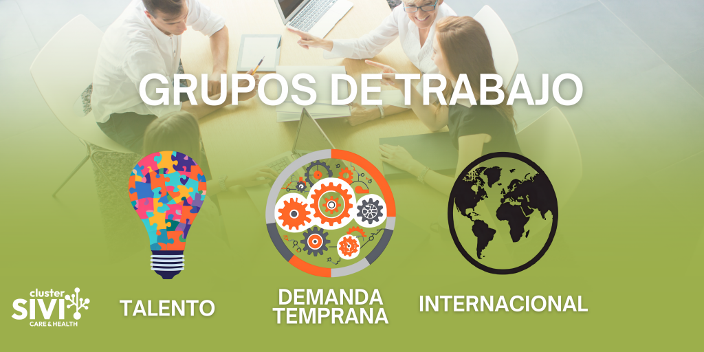 Sinergias para el éxito en los Grupos de Trabajo del Clúster SIVI