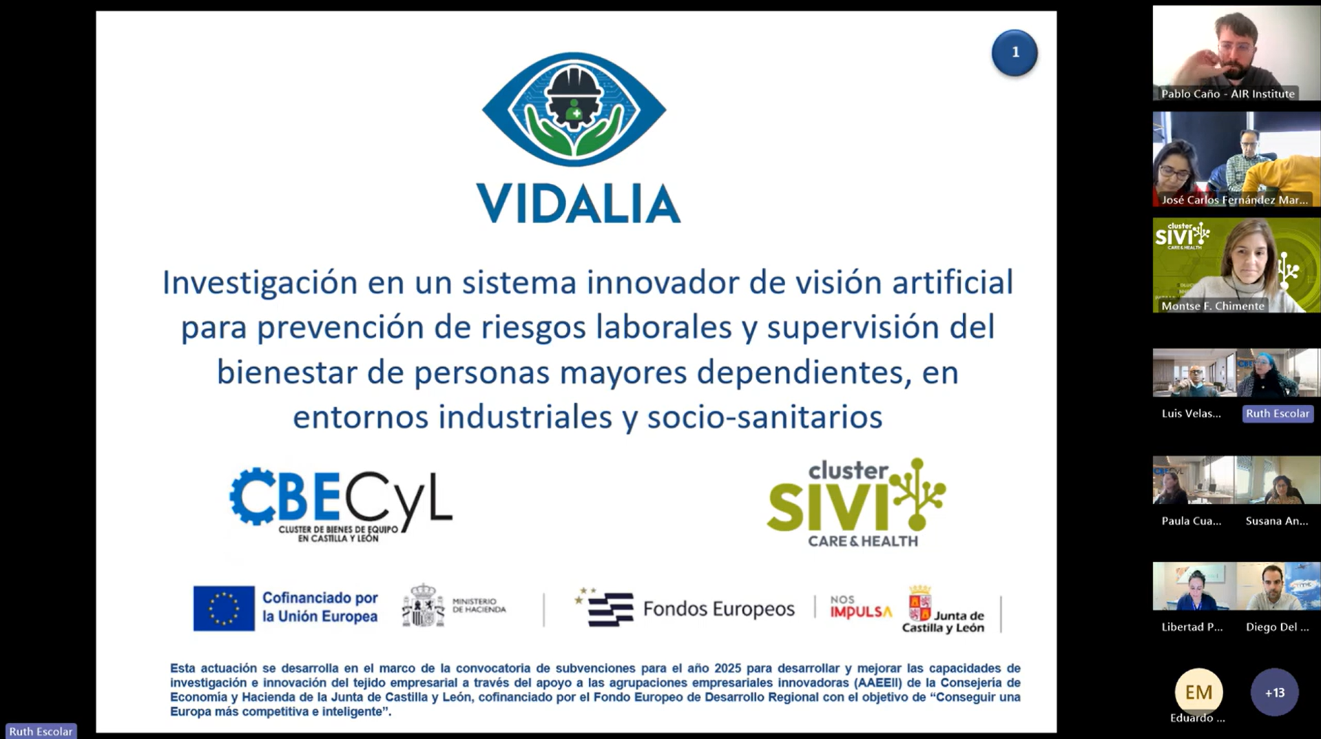 VIDALIA demuestra el potencial de la tecnología sensórica