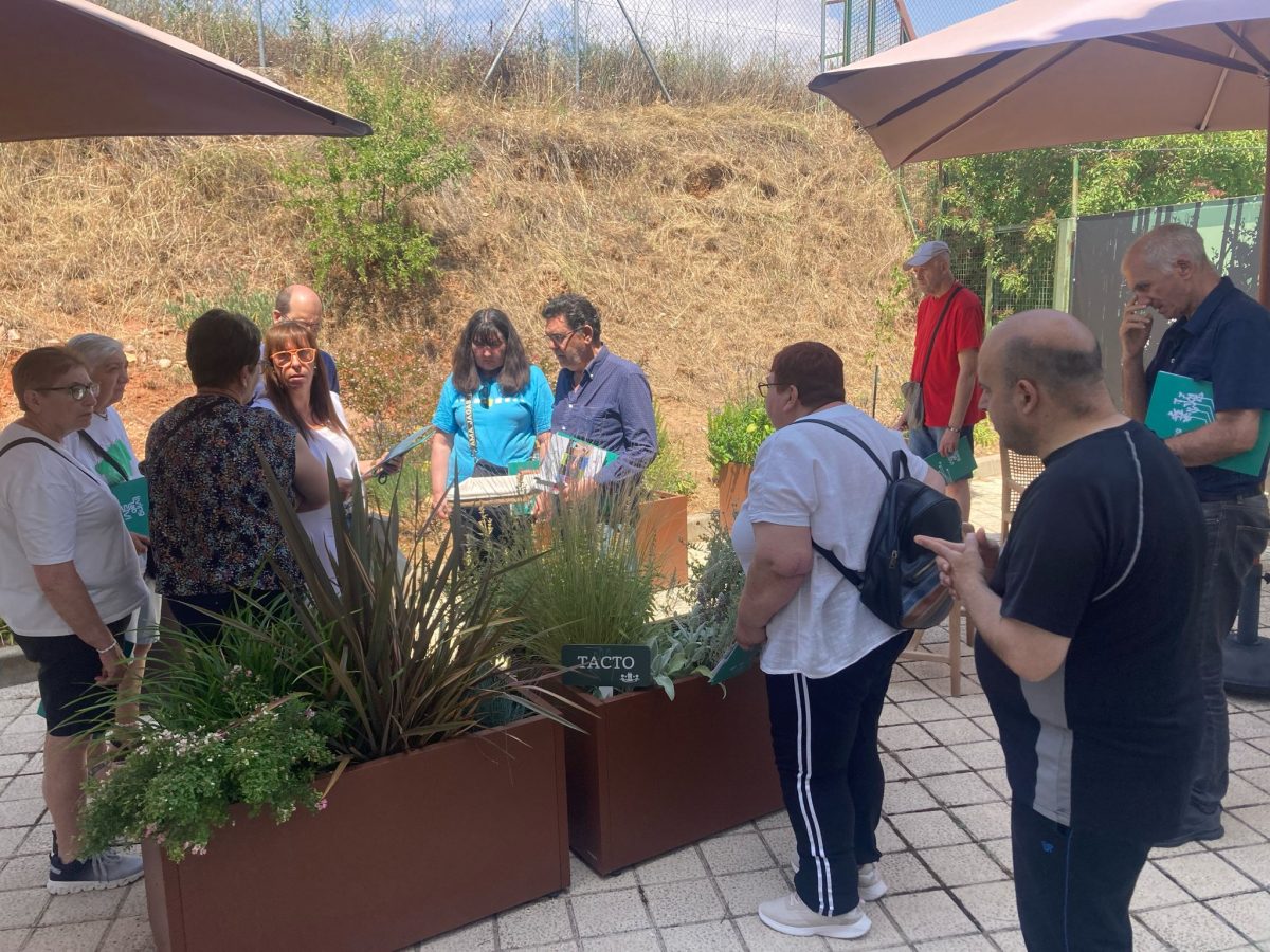 Taller «Aplicación de la hortiterapia para la salud y el cuidado»
